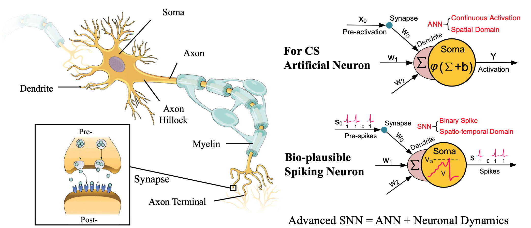 Deep spiking neural store network